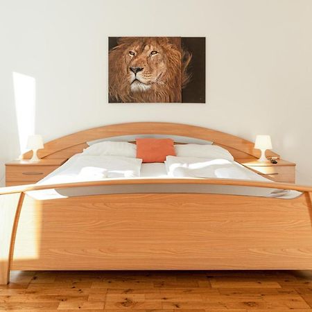 Comfortable 3Br Shared Apart. - Suitable For Long Stays ウィーン エクステリア 写真